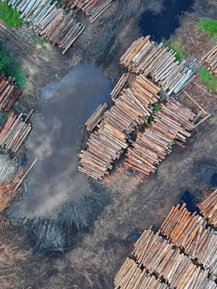 Aerial view of stacked timber logs at a logging site